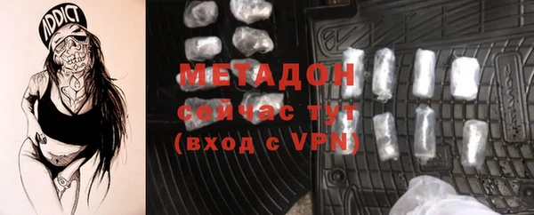 индика Арсеньев