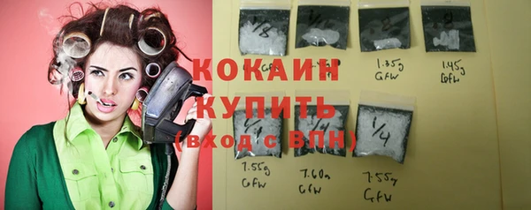 хмурый Алексин