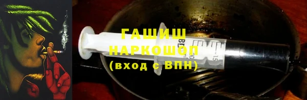 хмурый Алексин