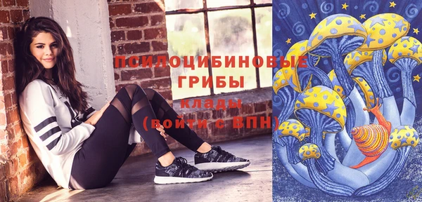 синтетический гашиш Алексеевка